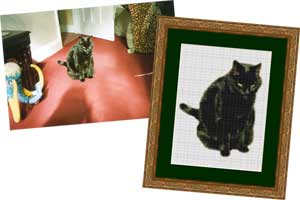 Example 6