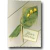 Click To View Product Information On Yellow Tulip Bouquet Birthday Card