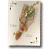 Click To View Product Information On Pink Rosebud Bouquet Valentine Card