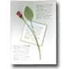 Click To View Product Information On Red Rosebud Valentine Card