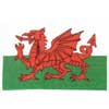 Click To View Product Information On Wales Flag Cross Stitch Kit