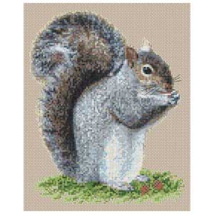 Grey Squirrel Cross Stitch Kit