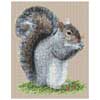 Click To View Product Information On Grey Squirrel Cross Stitch Kit