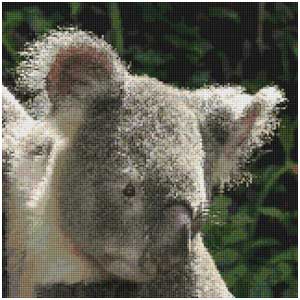 Koala Cross Stitch Kit