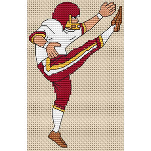 Punter Cross Stitch Kit